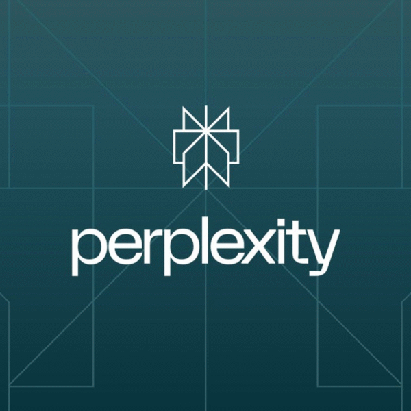 Perplexity - 12 Months