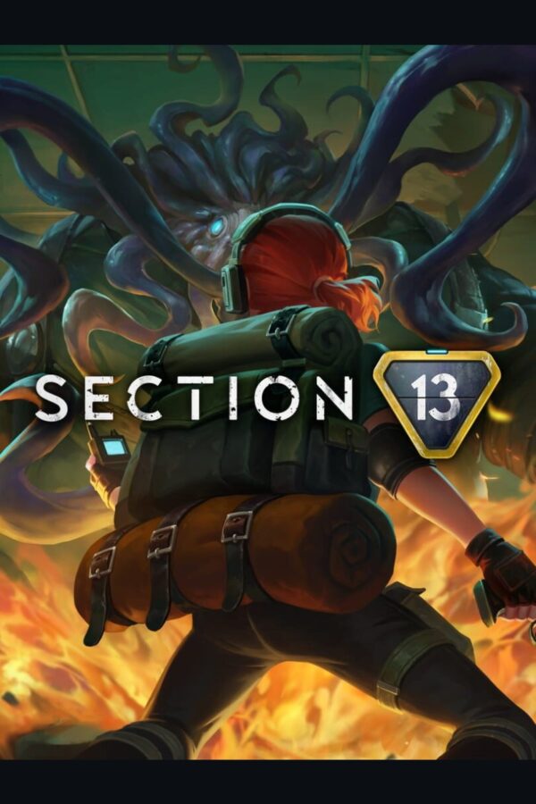 Section 13